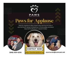 Positive Reinforcement Dog Training for Separation Anxiety