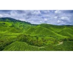 Cameroon eVisa for Bermuda Citizens