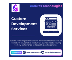 Best Custom Development Services eLeoRex Technologies