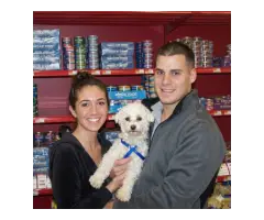Trusted Puppy Socialization Classes for Happy Dogs