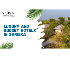 Top Luxury and Budget Hotels in Sariska for Every Traveler