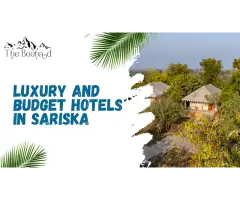 Top Luxury and Budget Hotels in Sariska for Every Traveler