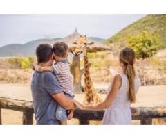 Top Tanzania Travel Packages Safari Tanzania Zanzibar Experience - 3