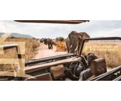 Top Tanzania Travel Packages Safari Tanzania Zanzibar Experience - 5