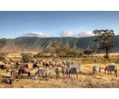 Top Tanzania Travel Packages Safari Tanzania Zanzibar Experience - 6