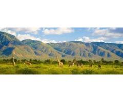 Ngorongoro Oldeani Mountain Lodge Safari 20% Discount Book Now - 2