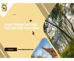 Best Kruger National Park Safari Packages Wild Planet Safari