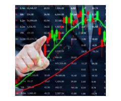 Best Platform for Forex Trading in India FlipTrade Group