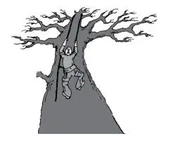 Professional Tree Removal Salt Lake UT Safe & Reliable Services
