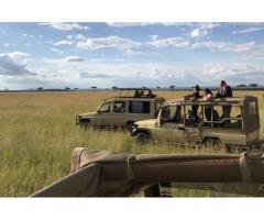 Join an Affordable Budget Group Safari in Tanzania with Expert Guides