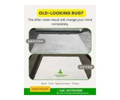 Trusted Carpet Cleaning Experts in North Brisbane Near You
