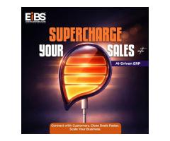 Best CRM Software Company in Madurai EiBS