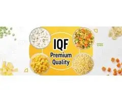 IQF Mango, Pineapple & Guava for Beverage and Dessert Production
