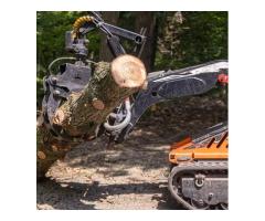 Professional Tree Service Burnaby BC Expert Tree Care &amp Removal