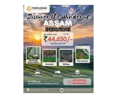 Holiday packages at cheap price - 8