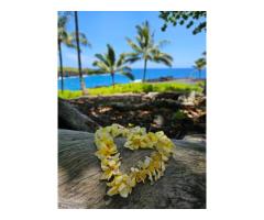 Romantic Airport Greeting Lei - Plumeria Lei Greetings