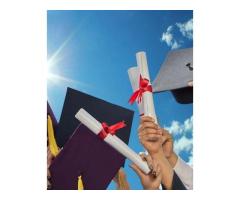 BBA Program at Paris American International University Earn Your Global Business Degree Online