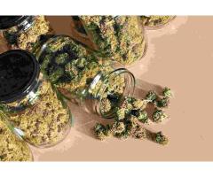 Discover the Best Local Buds at Our Oshawa Shop