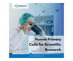 Human Primary Cells for Scientific Research