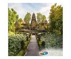 Bali Package Tour from Kolkata A Journey into Tropical Bliss