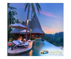 Bali Package Tour from Kolkata A Journey into Tropical Bliss - 4