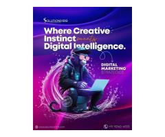 Solutions Top Digital Marketing Company in Chandigarh - 6