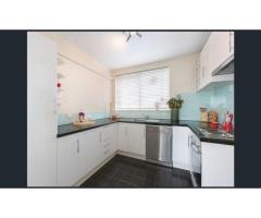 Fully Furnished Studio for Rent SGD 800 - 3