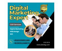 Digital marketing services provider