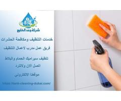 Cleaning,services