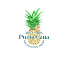 Stress-Free Punta Cana Travel with Mr and Mrs Puntacana Transfers