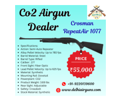 Top Co2 Airgun Dealer Delhi Air Gun 55,000