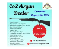 Top Co2 Airgun Dealer Delhi Air Gun 55,000