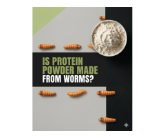 Is Protein Made From Worms Truth About Protein Powder Revealed