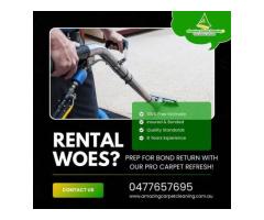 Affordable Carpet Cleaning Experts in North Brisbane Today
