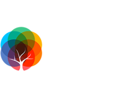 Explore B Tech Computer Science Subjects &amp amp amp Career Opportunities at BMU