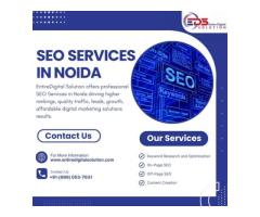 Professional SEO Services in Noida