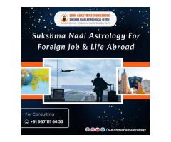 Get Foreign Job & Abroad Settlement Guidance with Sukshma Nadi Astrology