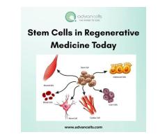 Stem Cells in Regenerative Medicine Today
