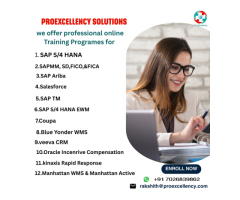 Industry-Focused Coupa Online Training