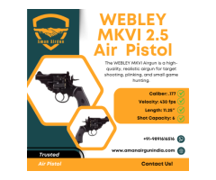 Buy Premium WEBLEY 2.5 Air Pistol Aman Air Gun 80,000