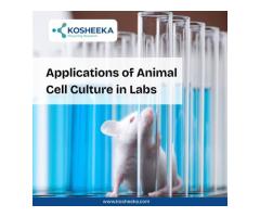 Applications of Animal Cell Culture in Labs