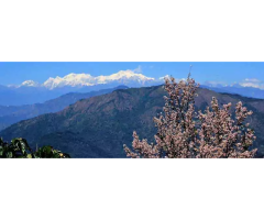 North Bengal Tour Packages A Journey Through Nature s Finest Destinations