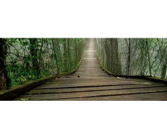 North Bengal Tour Packages A Journey Through Nature s Finest Destinations - 4