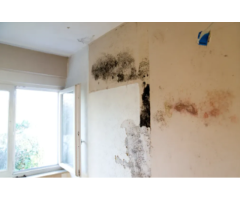 Mould Removal Melbourne