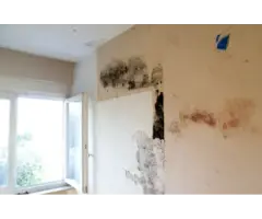 Mould Removal Melbourne