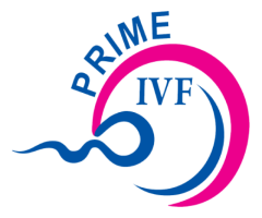IVF Treatment in Noida Your Comprehensive Guide Best IVF Centre in Delhi
