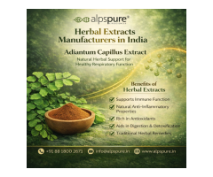 Herbal Extract Manufacturer in India