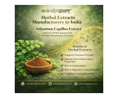Herbal Extract Manufacturer in India