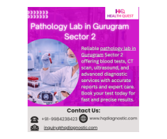 Pathology Lab in Gurugram Sector 2 Blood Tests, CT Scan & Ultrasound at healthQuest