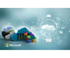 Local Microsoft Partner